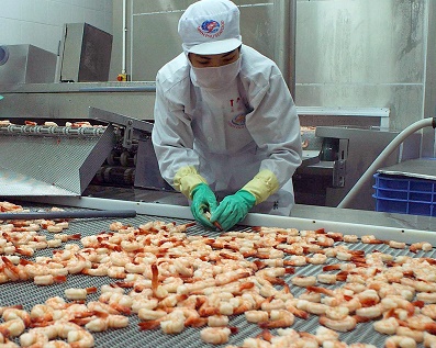US anti-dumping tariff reduction Vietnam's frozen shrimp