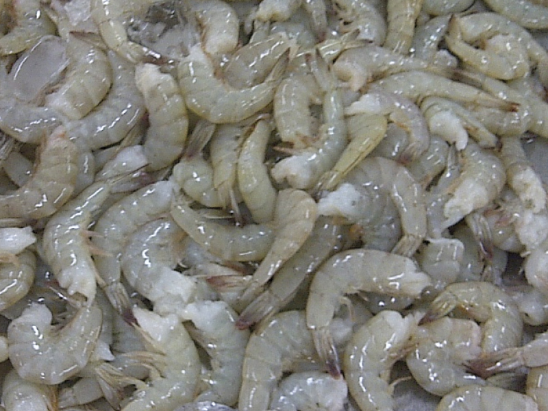 Vannamei HLSO  Shrimp